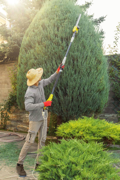 Best Weed Control  in Atlanta, IL